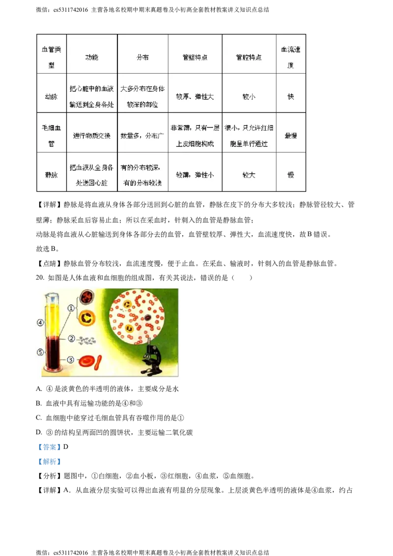 精品解析：北京市一零一中学教育集团2022-2023学年七年级下学期期中生物试题（解析版）(1)_北京初中期末题_C605-京七八九_B京生物七八九_北京7下生物_2022-2024_北京生物7下期中