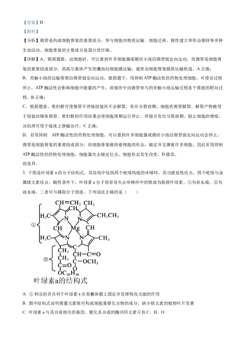 山东省泰安第一中学2025届高三上学期11月月考生物试题word版含解析_A1502026各地模拟卷（超值！）_12月_241201山东省泰安第一中学2025届高三上学期11月月考