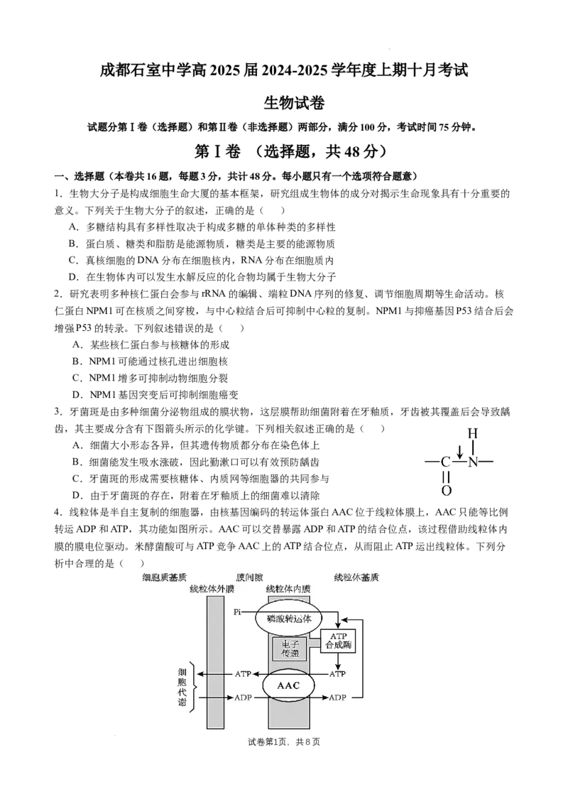 四川省成都市石室中学2024-2025学年高三上学期10月月考生物试题_A1502026各地模拟卷（超值！）_10月_241013四川省成都市石室中学2024-2025学年高三上学期10月月考