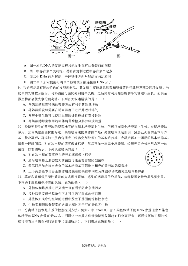 四川省成都市石室中学2024-2025学年高三上学期10月月考生物试题_A1502026各地模拟卷（超值！）_10月_241013四川省成都市石室中学2024-2025学年高三上学期10月月考