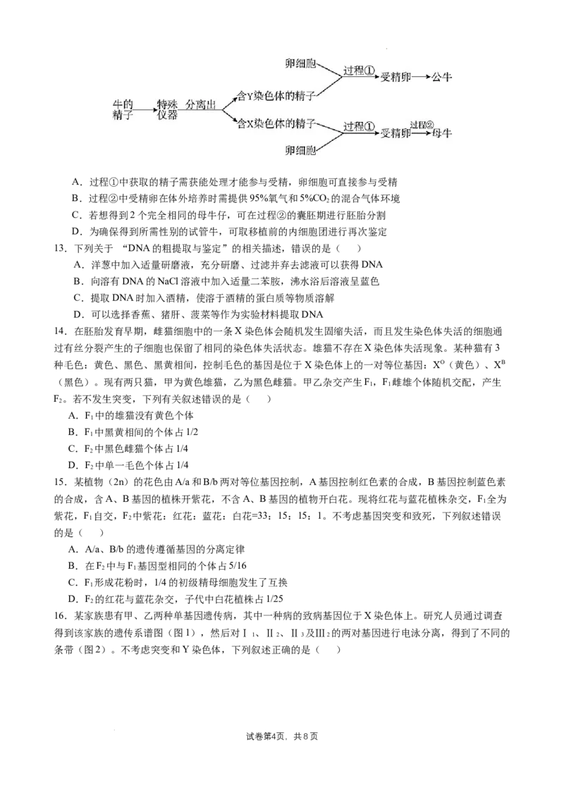 四川省成都市石室中学2024-2025学年高三上学期10月月考生物试题_A1502026各地模拟卷（超值！）_10月_241013四川省成都市石室中学2024-2025学年高三上学期10月月考