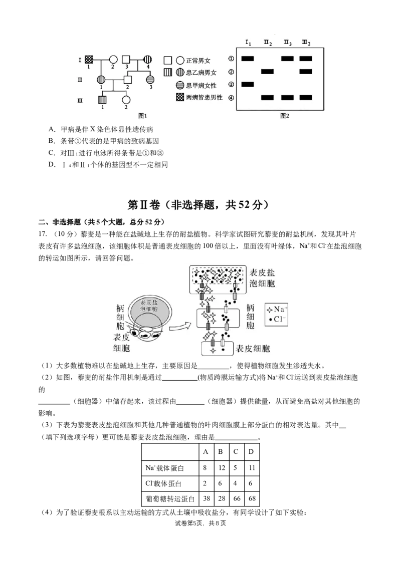 四川省成都市石室中学2024-2025学年高三上学期10月月考生物试题_A1502026各地模拟卷（超值！）_10月_241013四川省成都市石室中学2024-2025学年高三上学期10月月考