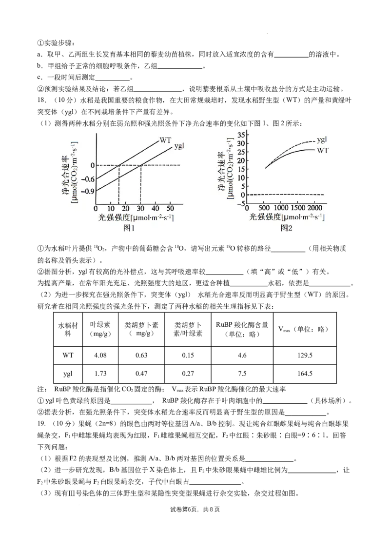 四川省成都市石室中学2024-2025学年高三上学期10月月考生物试题_A1502026各地模拟卷（超值！）_10月_241013四川省成都市石室中学2024-2025学年高三上学期10月月考