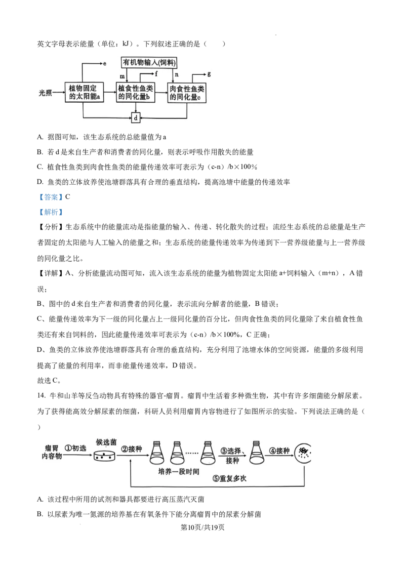 云南省大理白族自治州宾川县高平第一完全中学2024-2025学年高三上学期期中考试生物试题答案_A1502026各地模拟卷（超值！）_10月