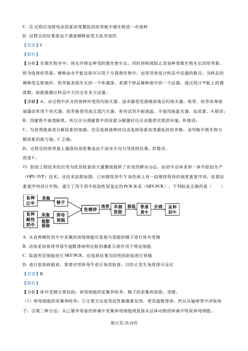 云南省大理白族自治州宾川县高平第一完全中学2024-2025学年高三上学期期中考试生物试题答案_A1502026各地模拟卷（超值！）_10月