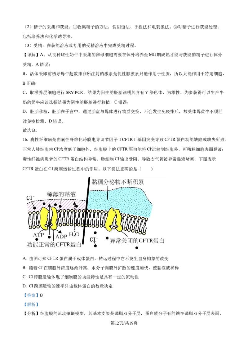 云南省大理白族自治州宾川县高平第一完全中学2024-2025学年高三上学期期中考试生物试题答案_A1502026各地模拟卷（超值！）_10月