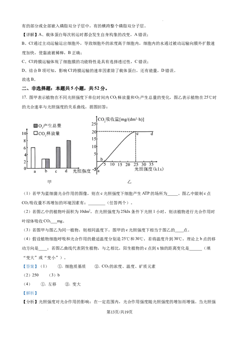 云南省大理白族自治州宾川县高平第一完全中学2024-2025学年高三上学期期中考试生物试题答案_A1502026各地模拟卷（超值！）_10月