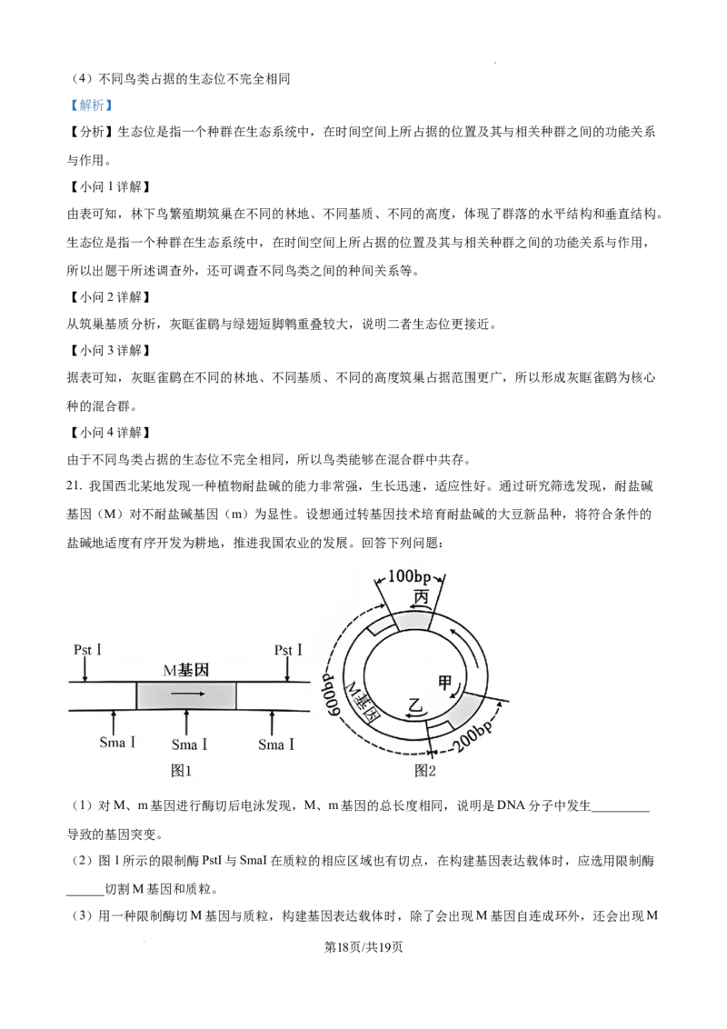 云南省大理白族自治州宾川县高平第一完全中学2024-2025学年高三上学期期中考试生物试题答案_A1502026各地模拟卷（超值！）_10月