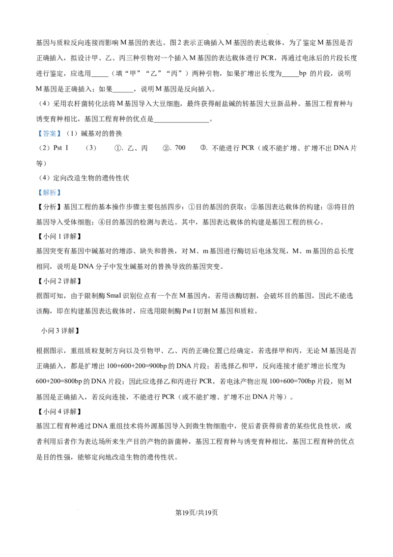 云南省大理白族自治州宾川县高平第一完全中学2024-2025学年高三上学期期中考试生物试题答案_A1502026各地模拟卷（超值！）_10月