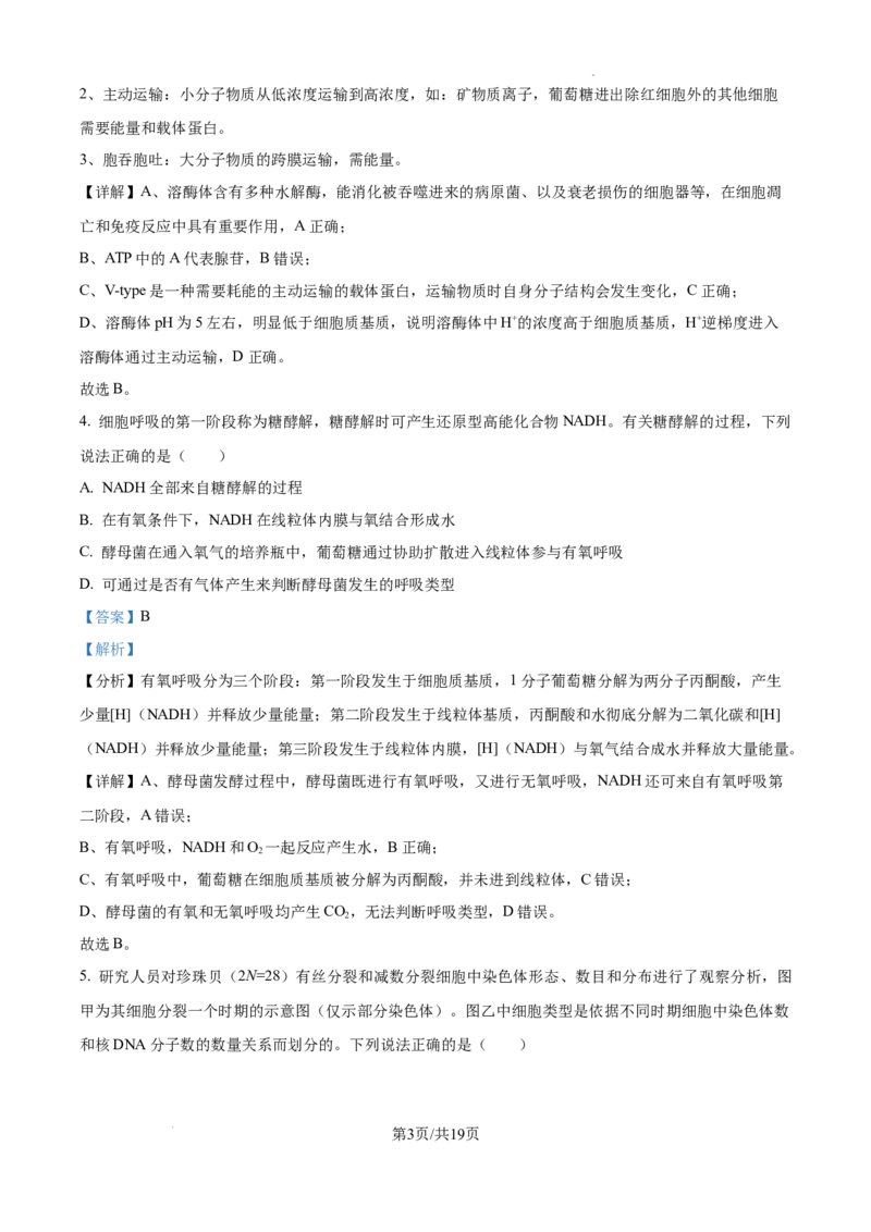 云南省大理白族自治州宾川县高平第一完全中学2024-2025学年高三上学期期中考试生物试题答案_A1502026各地模拟卷（超值！）_10月