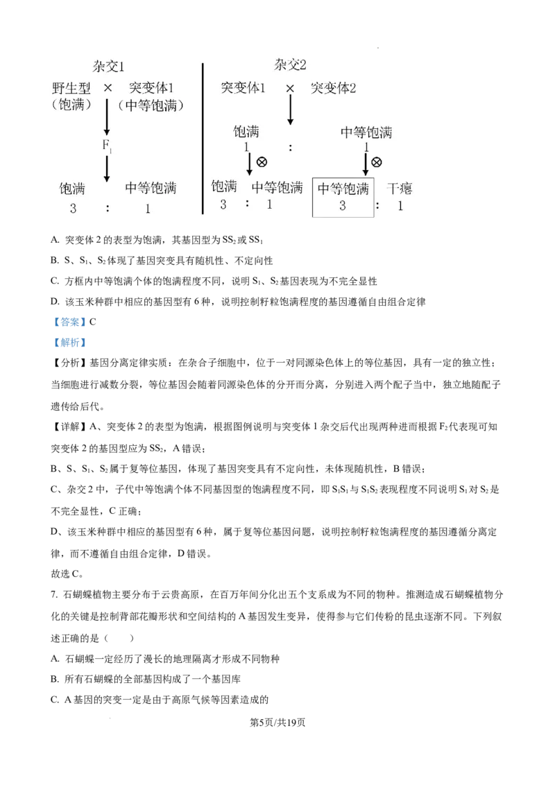云南省大理白族自治州宾川县高平第一完全中学2024-2025学年高三上学期期中考试生物试题答案_A1502026各地模拟卷（超值！）_10月