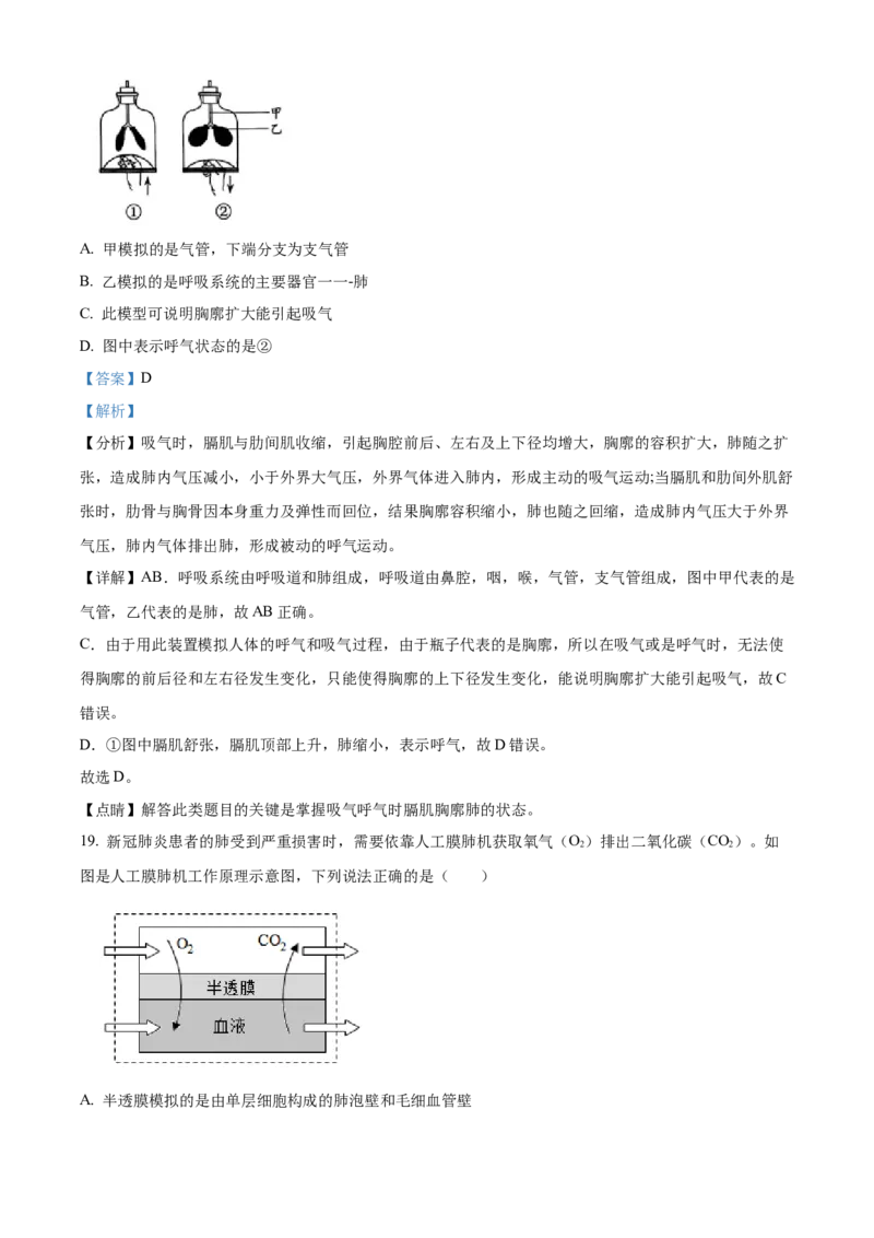 精品解析：北京市北京师范大学附属中学2021-2022学年七年级下学期期中生物试题（解析版）(1)_北京初中期末题_C605-京七八九_B京生物七八九_北京7下生物_2021-2022