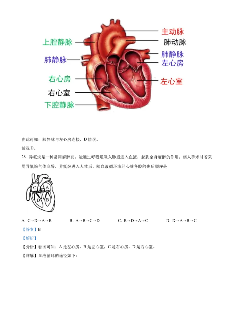 精品解析：北京市北京师范大学附属中学2021-2022学年七年级下学期期中生物试题（解析版）(1)_北京初中期末题_C605-京七八九_B京生物七八九_北京7下生物_2021-2022