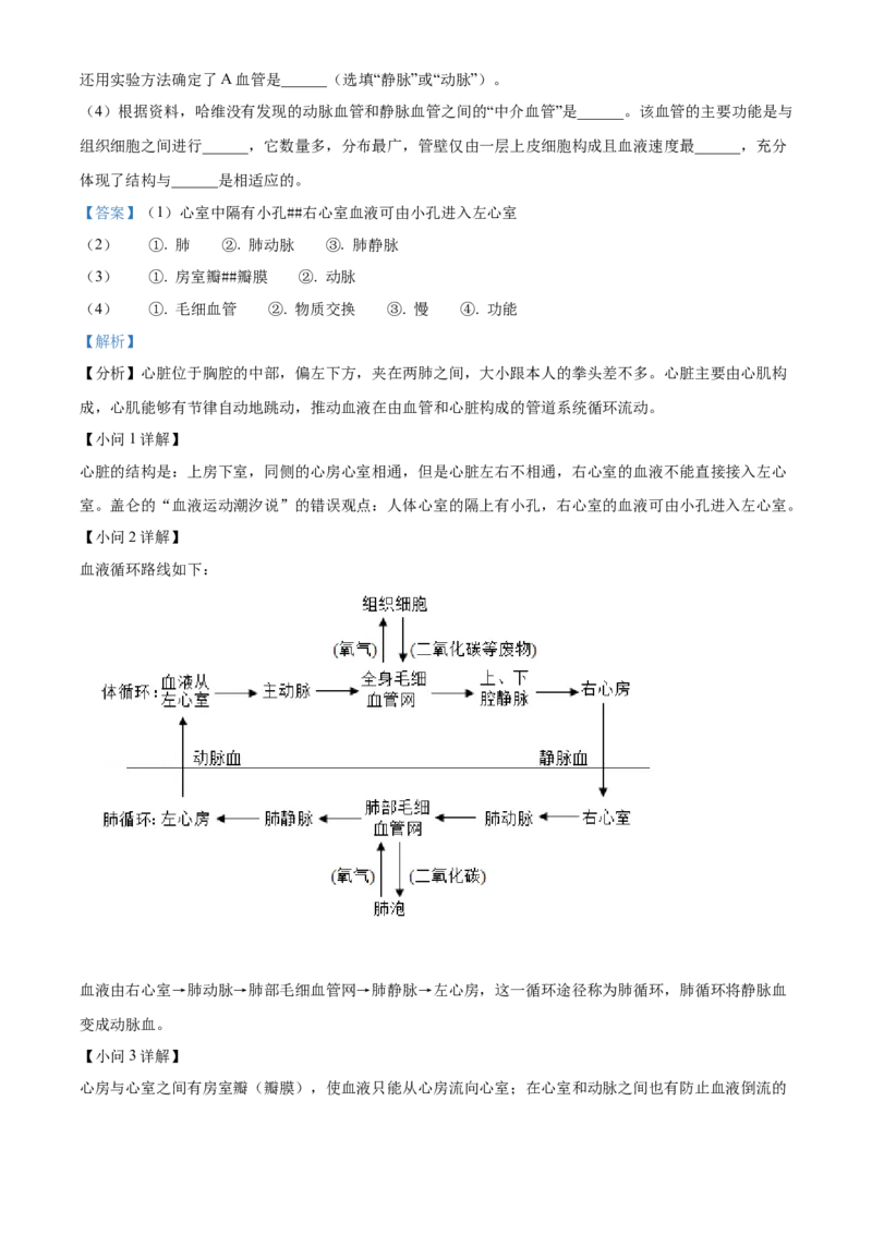 精品解析：北京市北京师范大学附属中学2021-2022学年七年级下学期期中生物试题（解析版）(1)_北京初中期末题_C605-京七八九_B京生物七八九_北京7下生物_2021-2022