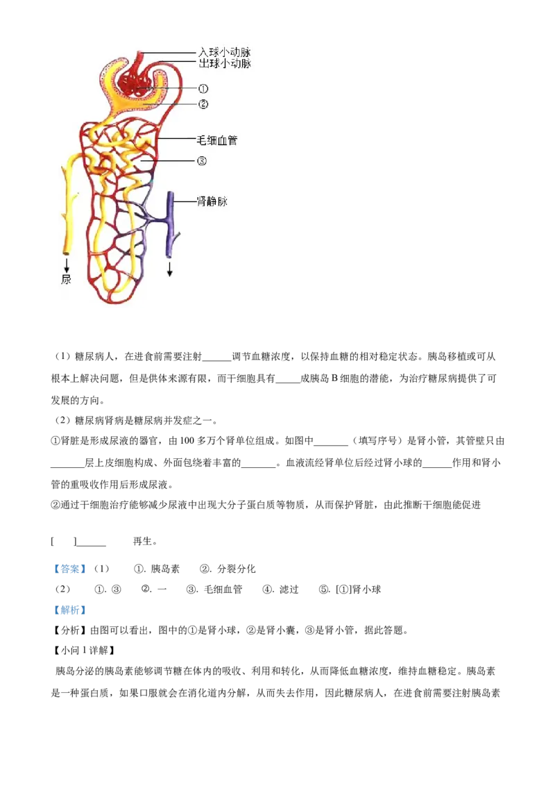 精品解析：北京市密云区2021&mdash;2022学年八年级下学期期末生物试题（考查范围：初中综合）（解析版）(1)_北京初中期末题_C605-京七八九_B京生物七八九_北京八下生物