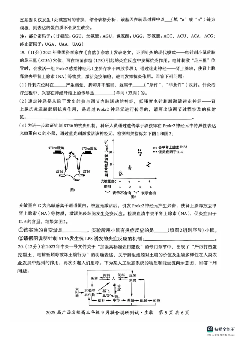 2025届广西名校高三年级9月联合调研测试生物试题_A1502026各地模拟卷（超值！）_9月_2409062025届广西名校高三年级9月联合调研测试_2025届广西名校高三年级9月联合调研测试生物