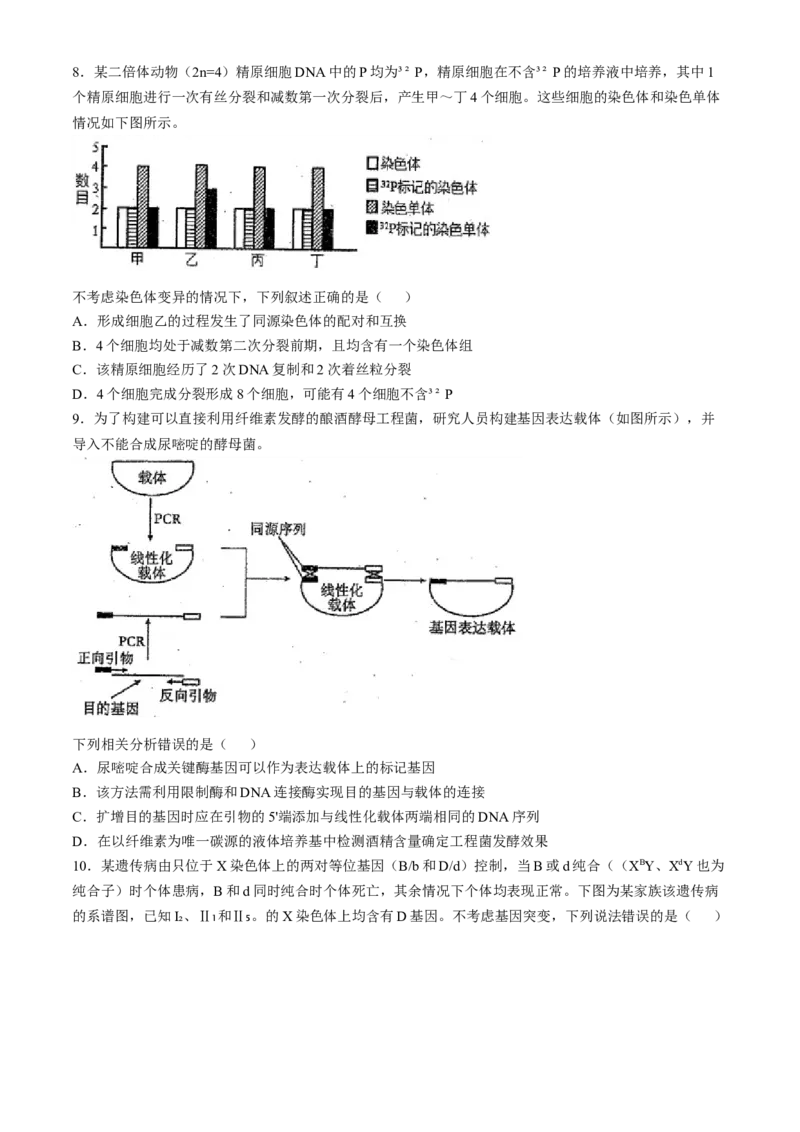 天津市南开中学2024-2025学年高三上学期10月月考生物学试题（含答案）_A1502026各地模拟卷（超值！）_10月_241022天津市南开中学2024-2025学年高三上学期10月月考