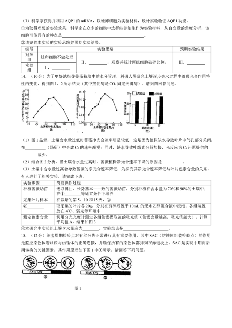 天津市南开中学2024-2025学年高三上学期10月月考生物学试题（含答案）_A1502026各地模拟卷（超值！）_10月_241022天津市南开中学2024-2025学年高三上学期10月月考