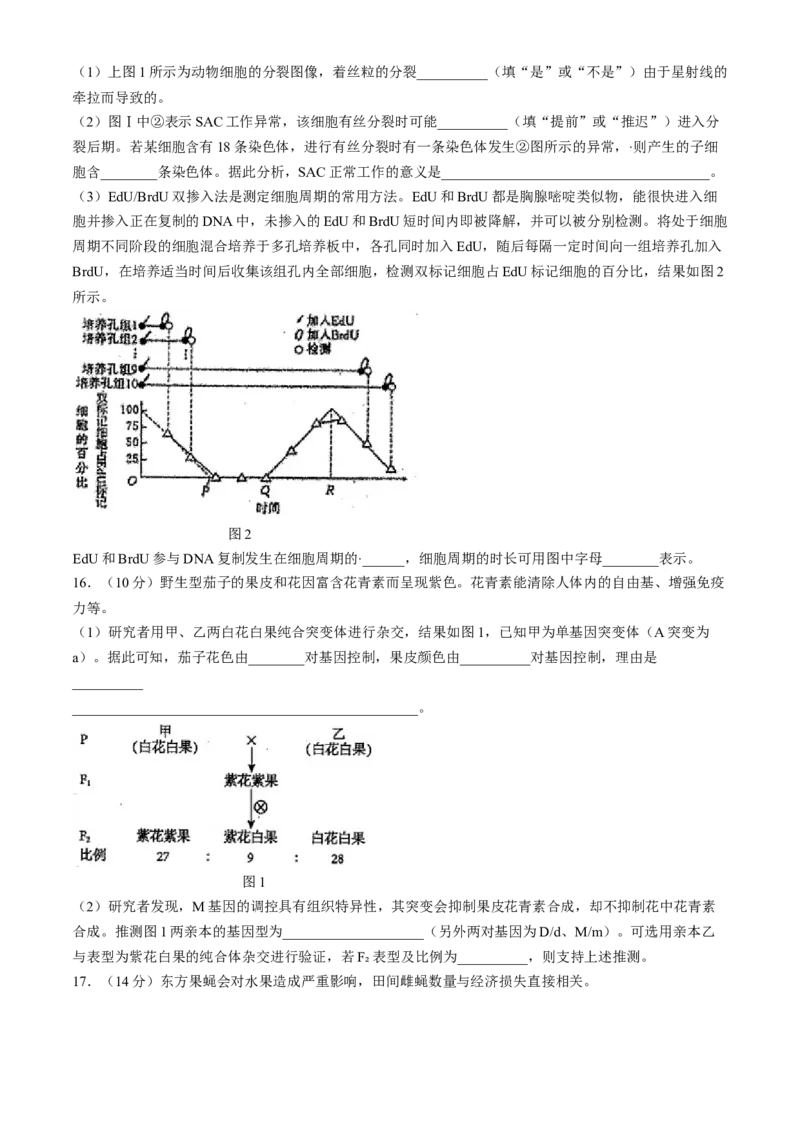 天津市南开中学2024-2025学年高三上学期10月月考生物学试题（含答案）_A1502026各地模拟卷（超值！）_10月_241022天津市南开中学2024-2025学年高三上学期10月月考