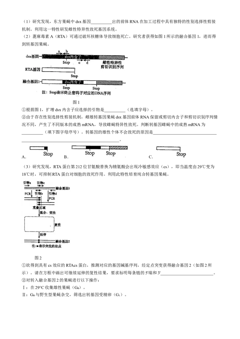 天津市南开中学2024-2025学年高三上学期10月月考生物学试题（含答案）_A1502026各地模拟卷（超值！）_10月_241022天津市南开中学2024-2025学年高三上学期10月月考