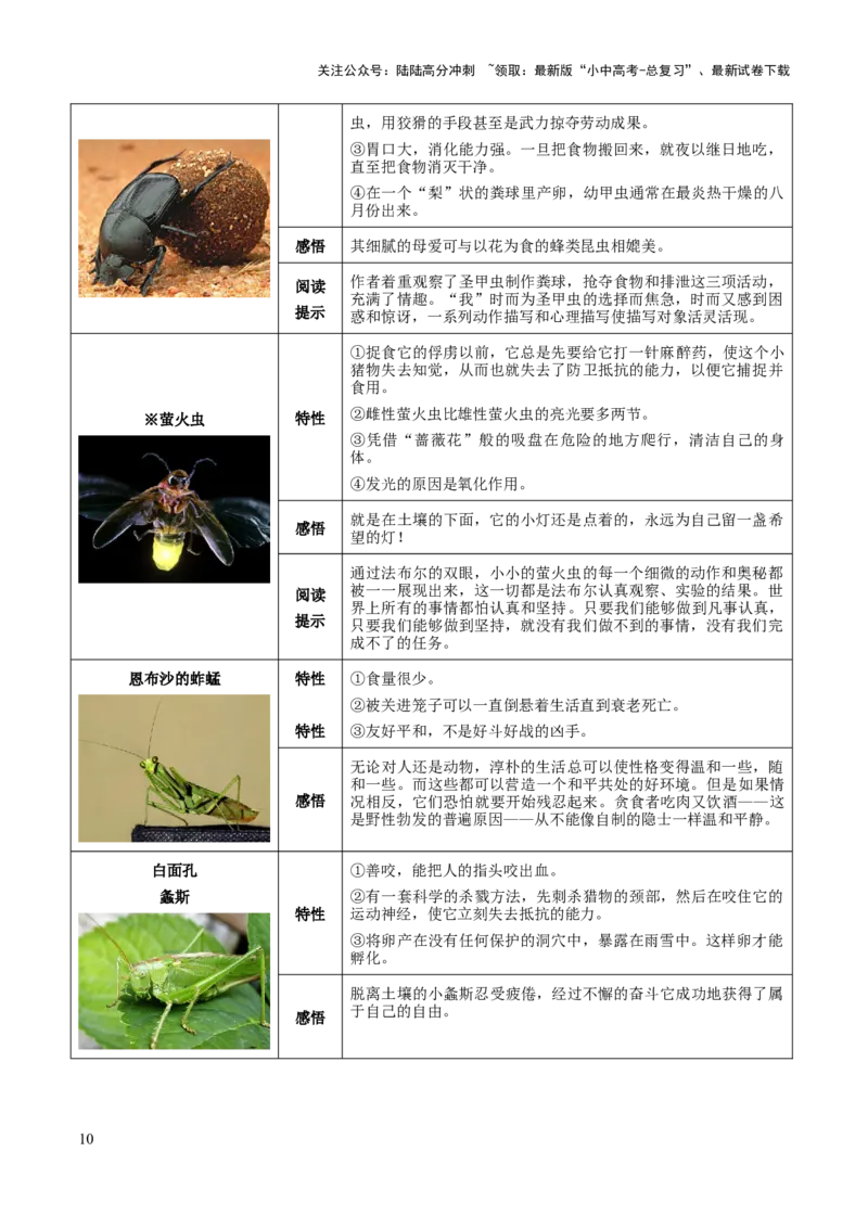 专题20《昆虫记》（知识梳理+练习）（解析版）_02中考总复习（2026版更新中）_01-语文-中考总复习_2025年中考资料_备战2025年中考语文一轮复习考点突破（全国通用）