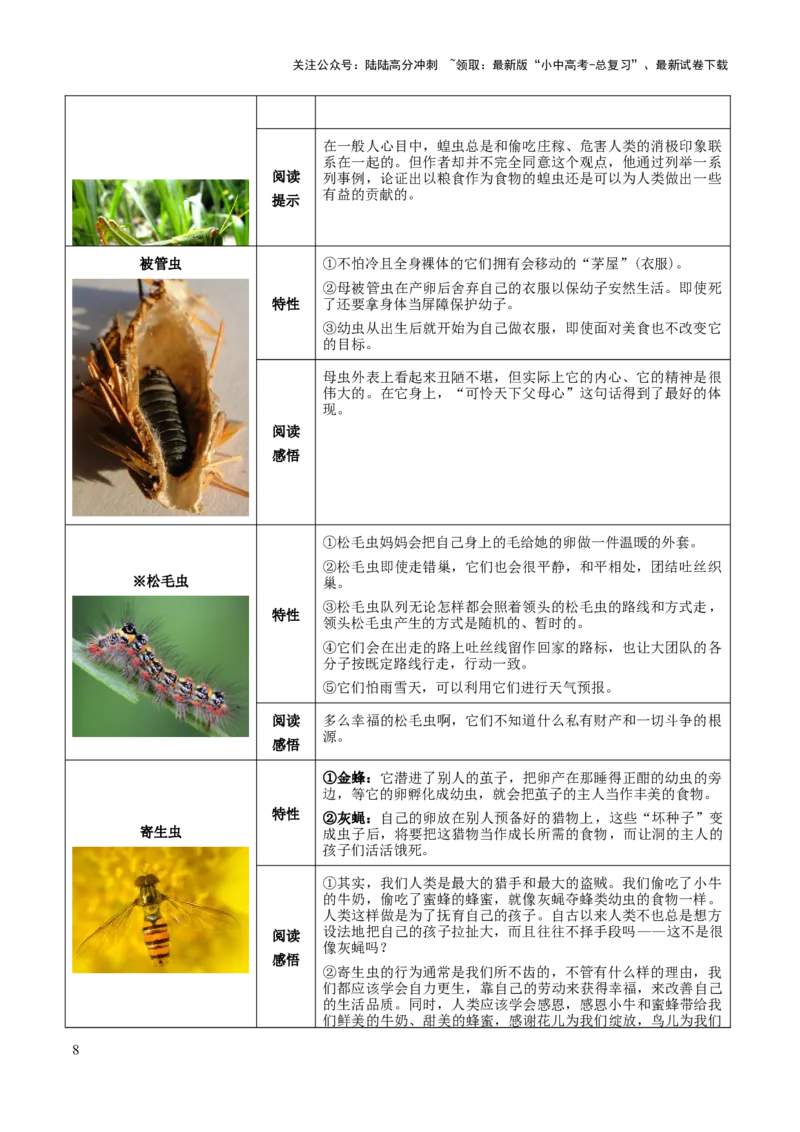 专题20《昆虫记》（知识梳理+练习）（解析版）_02中考总复习（2026版更新中）_01-语文-中考总复习_2025年中考资料_备战2025年中考语文一轮复习考点突破（全国通用）