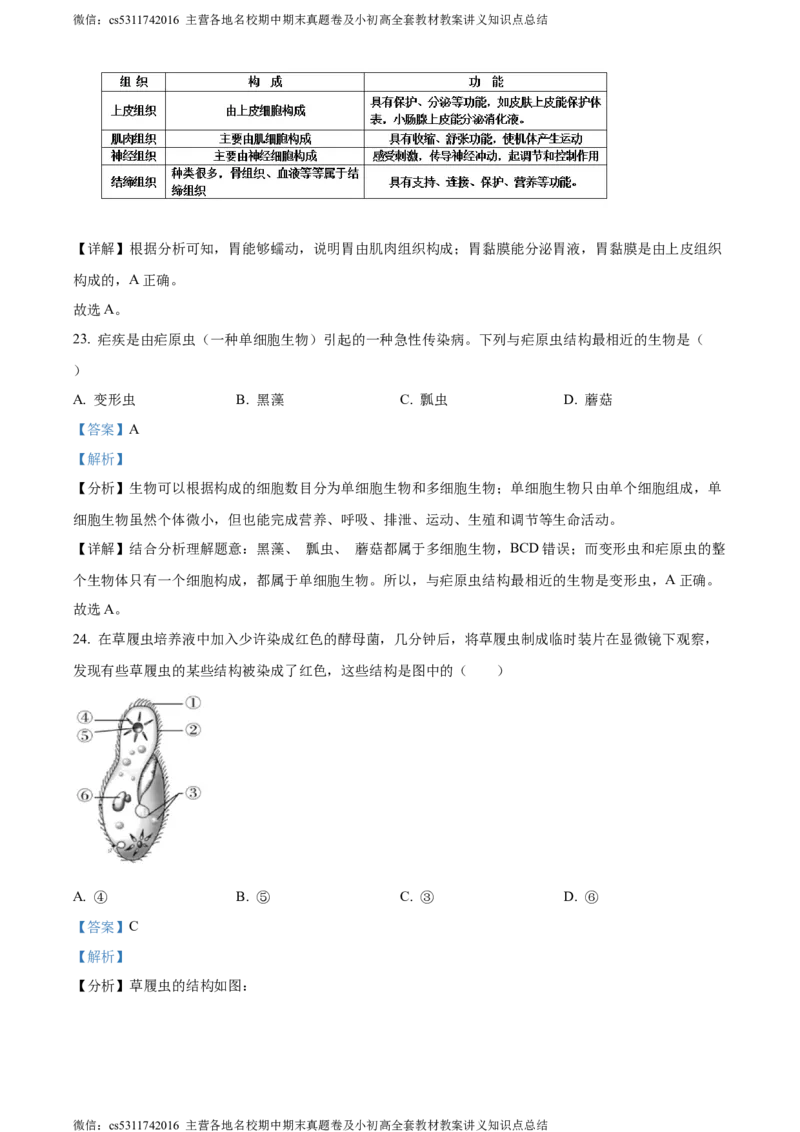 精品解析：北京市北京师范大学附属中学2022-2023学年七年级上学期期中生物试题（解析版）(1)_北京初中期末题_C605-京七八九_B京生物七八九_北京7上生物_2022-2024_北京生物7上期中