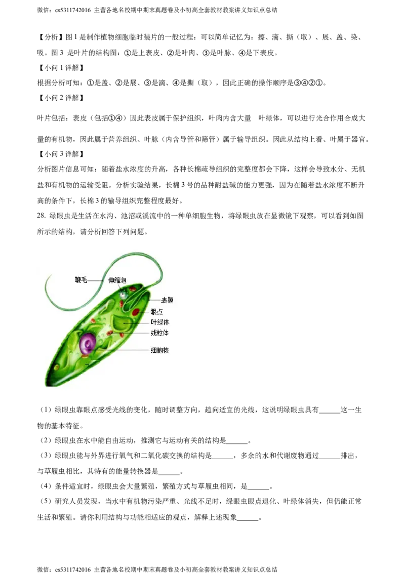 精品解析：北京市北京师范大学附属中学2022-2023学年七年级上学期期中生物试题（解析版）(1)_北京初中期末题_C605-京七八九_B京生物七八九_北京7上生物_2022-2024_北京生物7上期中