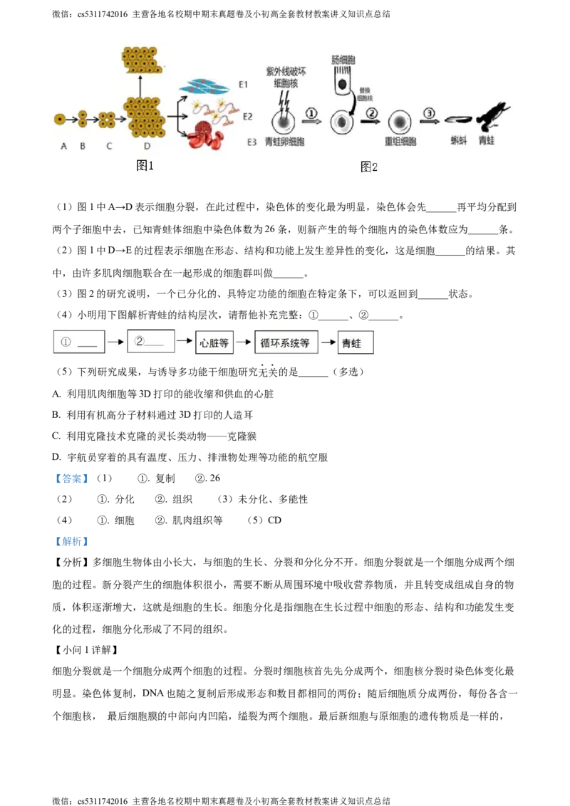 精品解析：北京市北京师范大学附属中学2022-2023学年七年级上学期期中生物试题（解析版）(1)_北京初中期末题_C605-京七八九_B京生物七八九_北京7上生物_2022-2024_北京生物7上期中