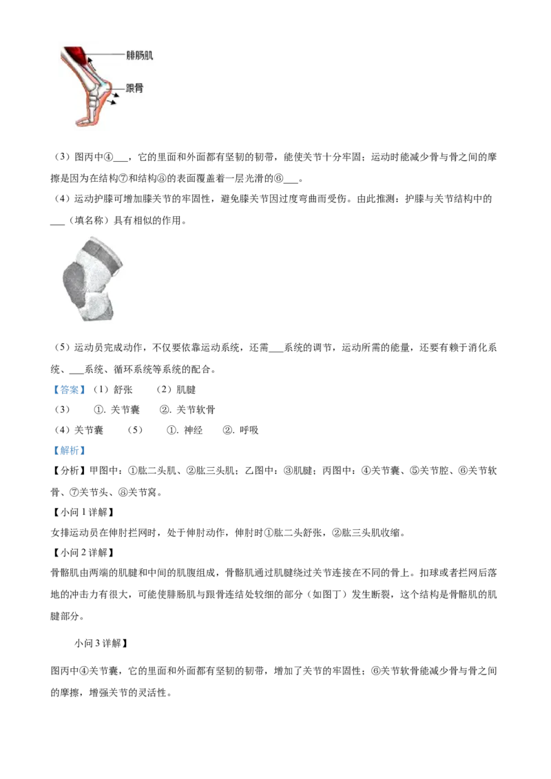 精品解析：北京市延庆区2023-2024学年八年级上学期期末生物试题（解析版）(1)_北京初中期末题_C605-京七八九_B京生物七八九_北京八上生物_2023-2024