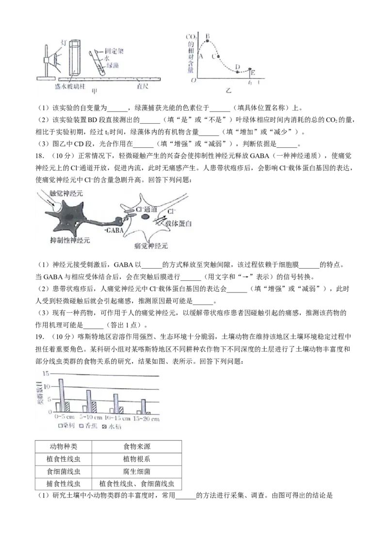2025届高三金太阳百万9月开学联考生物试卷（有解析）_A1502026各地模拟卷（超值！）_9月_2409062025届金太阳百万（甘肃、青海、宁夏）高三9月开学大联考（1002C）