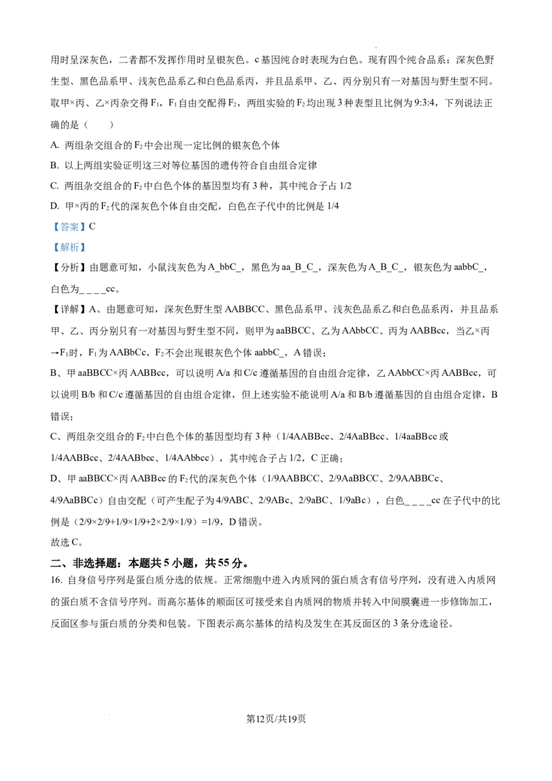 安徽省六安市第二中学2024-2025学年高三上学期10月月考生物答案_A1502026各地模拟卷（超值！）_10月_241024安徽省六安市第二中学2024-2025学年高三上学期10月月考
