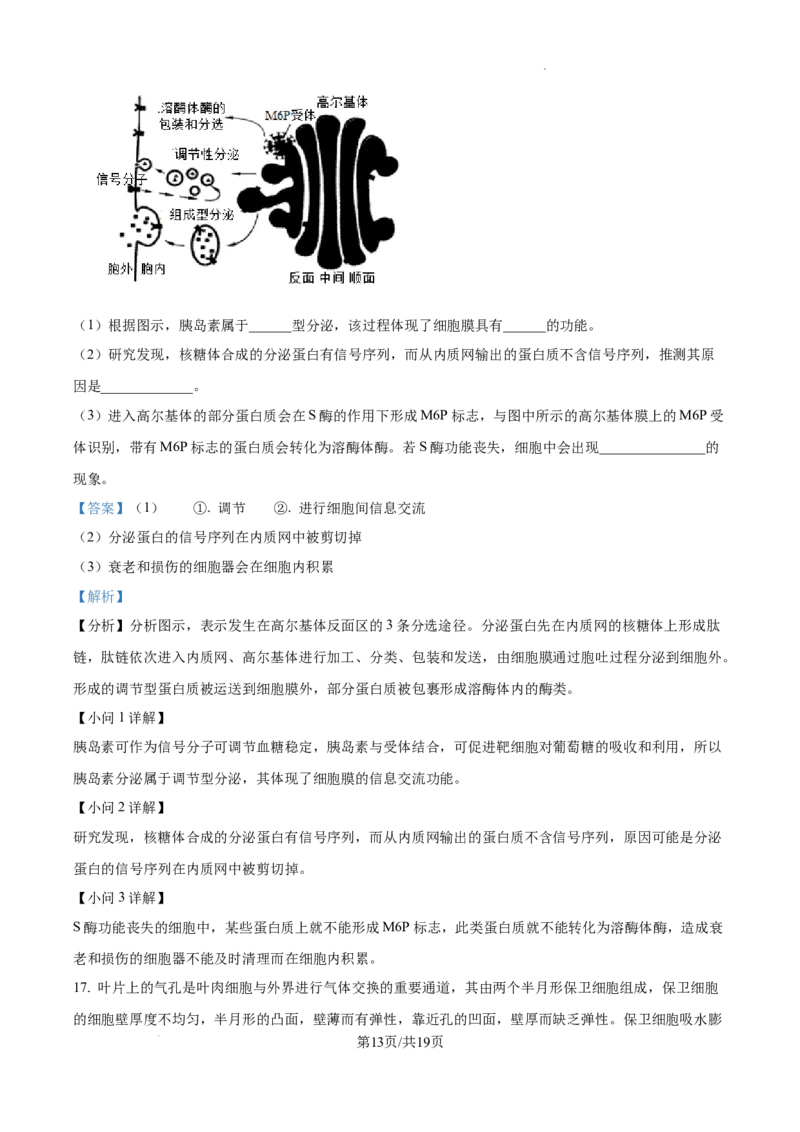 安徽省六安市第二中学2024-2025学年高三上学期10月月考生物答案_A1502026各地模拟卷（超值！）_10月_241024安徽省六安市第二中学2024-2025学年高三上学期10月月考