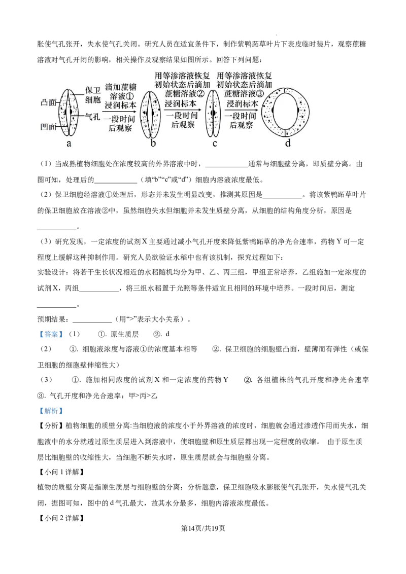 安徽省六安市第二中学2024-2025学年高三上学期10月月考生物答案_A1502026各地模拟卷（超值！）_10月_241024安徽省六安市第二中学2024-2025学年高三上学期10月月考