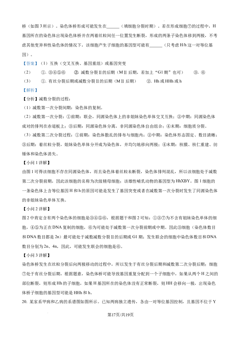 安徽省六安市第二中学2024-2025学年高三上学期10月月考生物答案_A1502026各地模拟卷（超值！）_10月_241024安徽省六安市第二中学2024-2025学年高三上学期10月月考