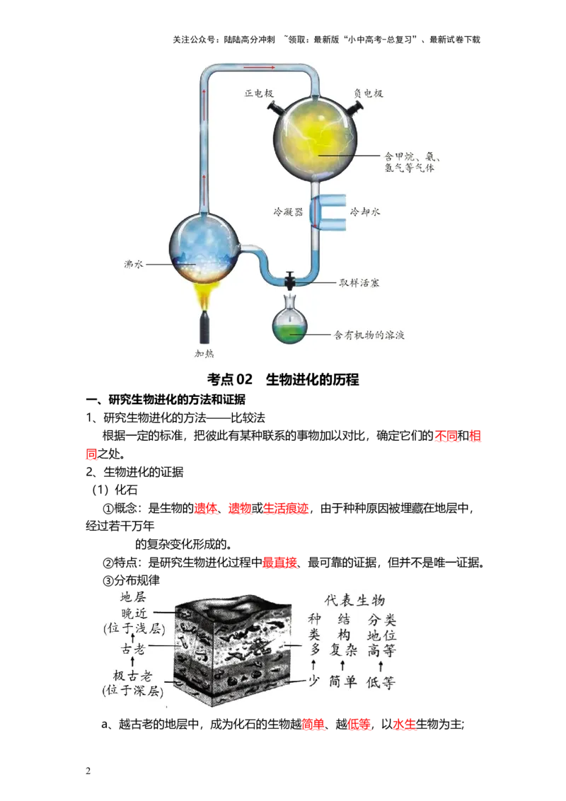 专题22+生命起源和生物进化（背记帮）-备战2024年中考生物一轮复习考点帮_02中考总复习（2026版更新中）_08-生物-中考总复习_2024年中考复习资料_一轮复习_必背考点