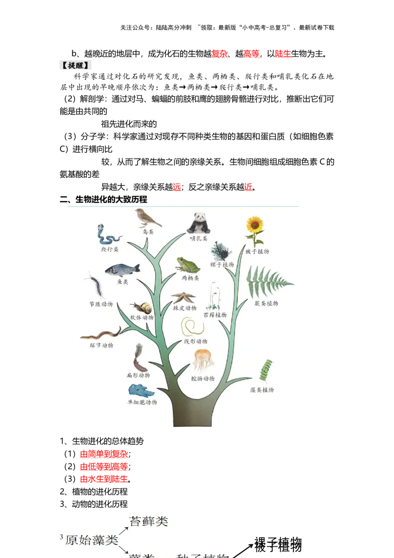 专题22+生命起源和生物进化（背记帮）-备战2024年中考生物一轮复习考点帮_02中考总复习（2026版更新中）_08-生物-中考总复习_2024年中考复习资料_一轮复习_必背考点