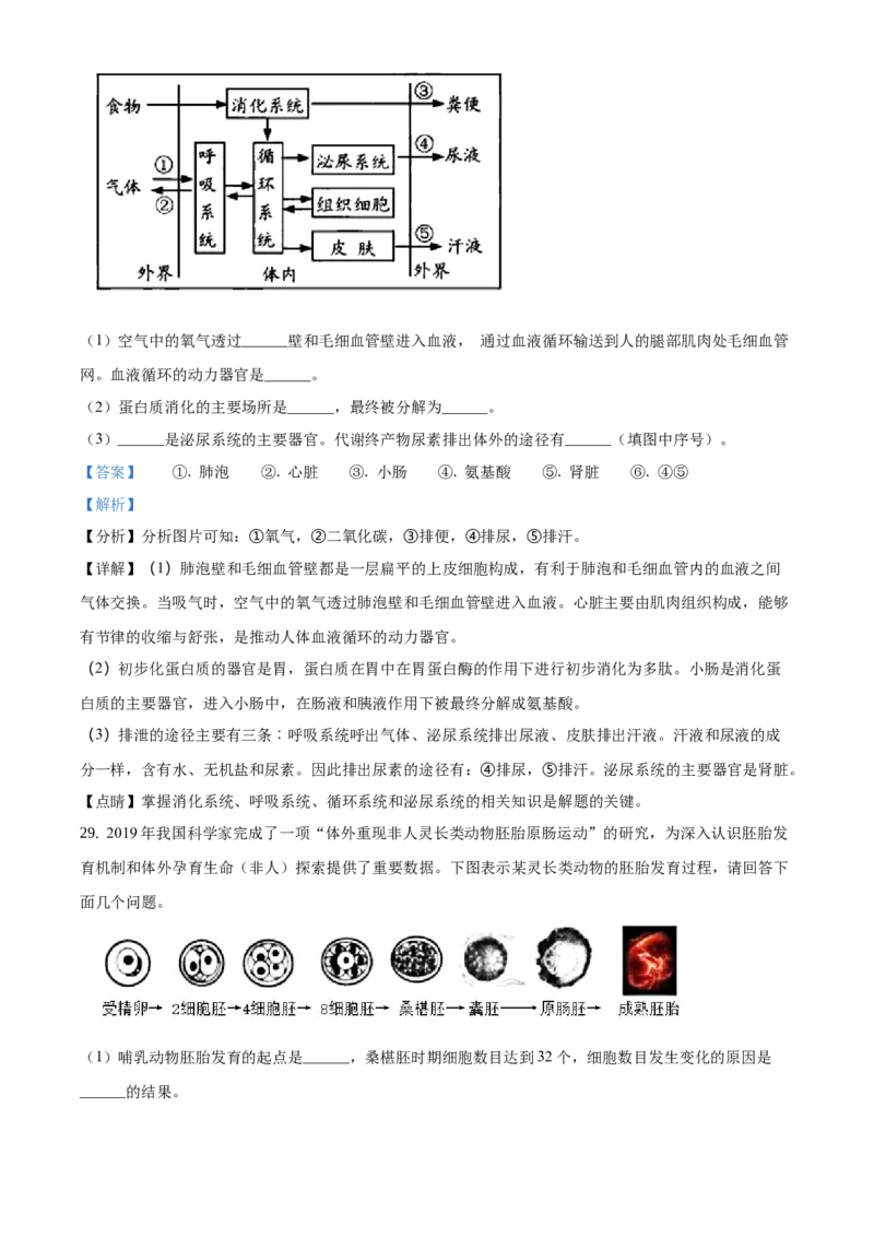 精品解析：2021年北京市门头沟区中考二模生物试题（解析版）(1)_北京初中期末题_C605-京七八九_B京生物七八九_北京八下生物_精品解析：2021年北京市门头沟区中考二模生物试题