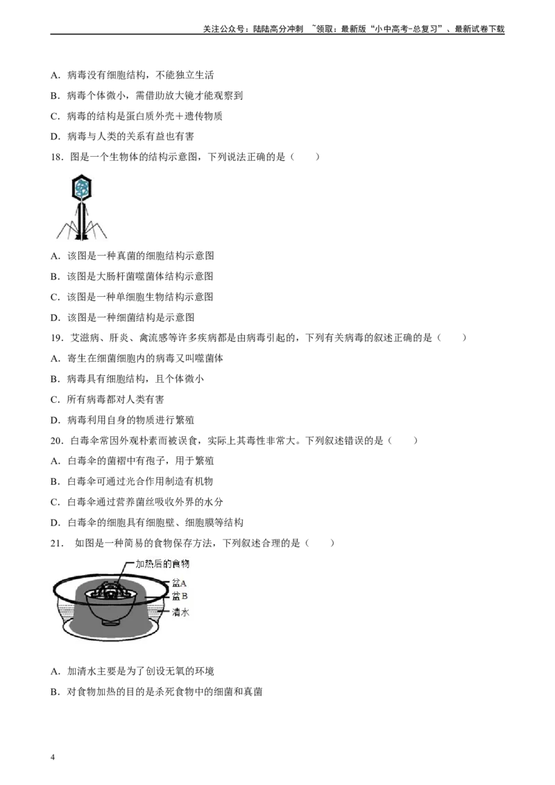 专题18细菌、真菌和病毒（习题精练）-省心备考2024年中考生物一轮复习精讲精练（全国通用）（原卷版）_02中考总复习（2026版更新中）_08-生物-中考总复习_2024年中考复习资料