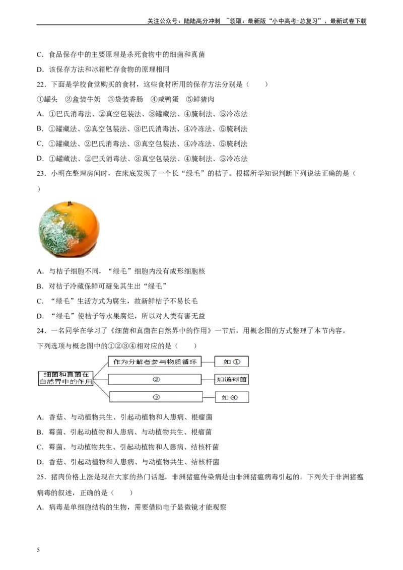 专题18细菌、真菌和病毒（习题精练）-省心备考2024年中考生物一轮复习精讲精练（全国通用）（原卷版）_02中考总复习（2026版更新中）_08-生物-中考总复习_2024年中考复习资料