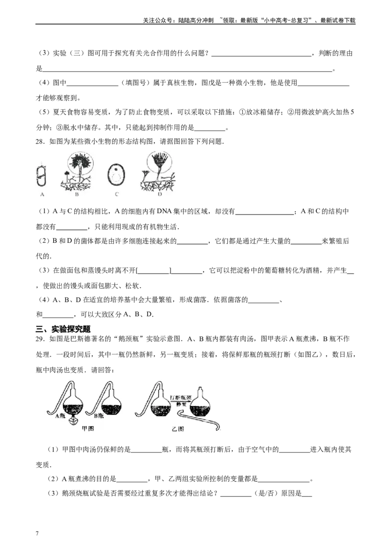 专题18细菌、真菌和病毒（习题精练）-省心备考2024年中考生物一轮复习精讲精练（全国通用）（原卷版）_02中考总复习（2026版更新中）_08-生物-中考总复习_2024年中考复习资料