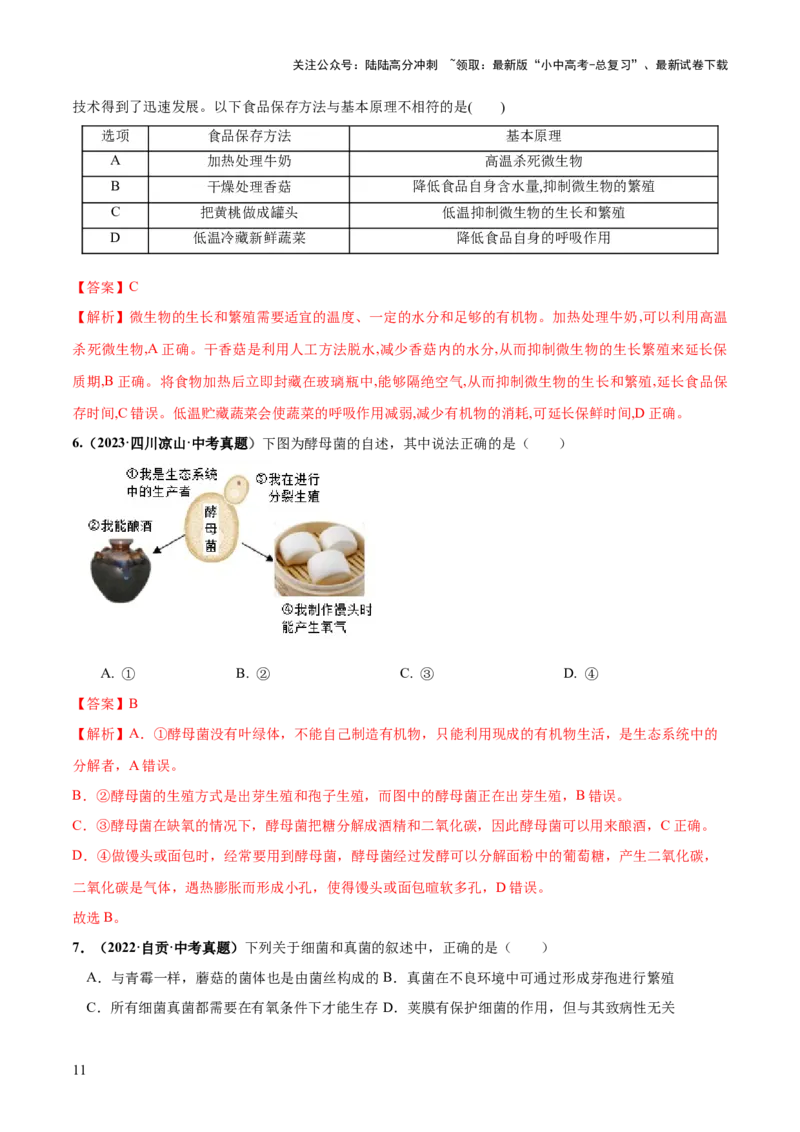 专题18细菌、真菌和病毒（练习）（解析版）_02中考总复习（2026版更新中）_08-生物-中考总复习_2024年中考复习资料_一轮复习_❤2024年中考生物一轮复习讲练测（全国通用）_练习