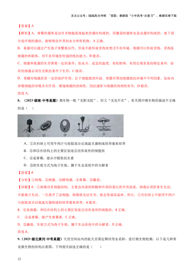 专题18细菌、真菌和病毒（练习）（解析版）_02中考总复习（2026版更新中）_08-生物-中考总复习_2024年中考复习资料_一轮复习_❤2024年中考生物一轮复习讲练测（全国通用）_练习