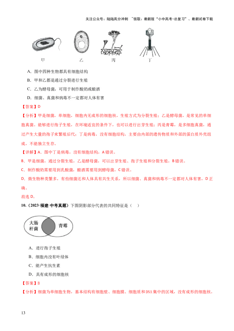 专题18细菌、真菌和病毒（练习）（解析版）_02中考总复习（2026版更新中）_08-生物-中考总复习_2024年中考复习资料_一轮复习_❤2024年中考生物一轮复习讲练测（全国通用）_练习