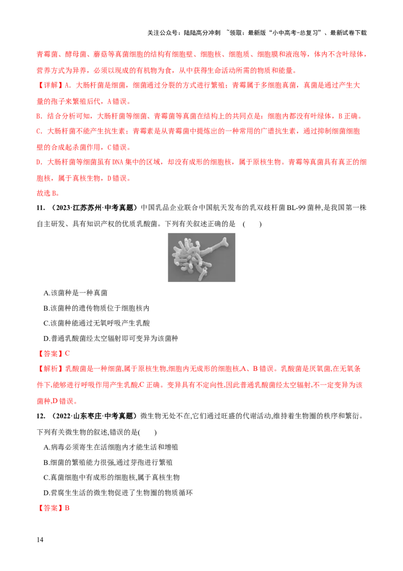 专题18细菌、真菌和病毒（练习）（解析版）_02中考总复习（2026版更新中）_08-生物-中考总复习_2024年中考复习资料_一轮复习_❤2024年中考生物一轮复习讲练测（全国通用）_练习
