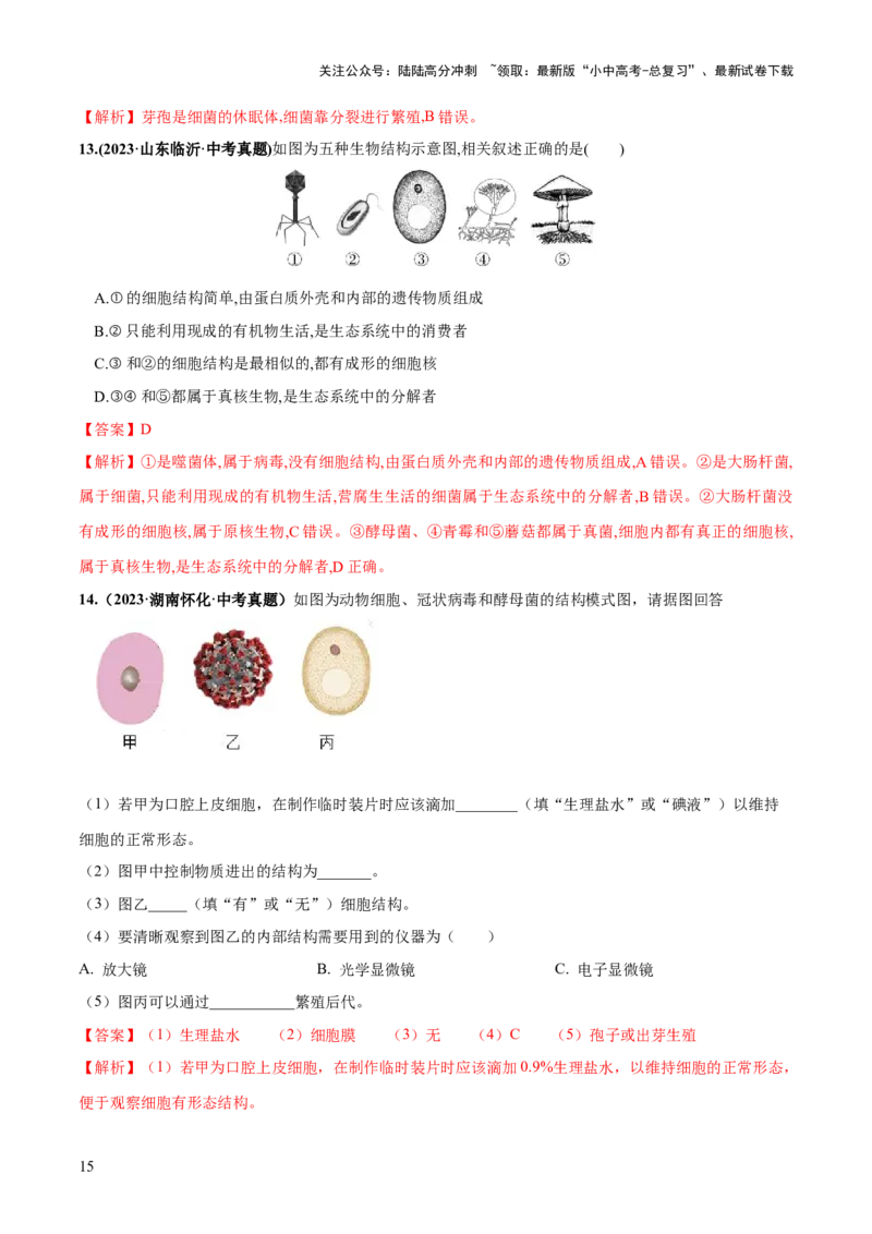专题18细菌、真菌和病毒（练习）（解析版）_02中考总复习（2026版更新中）_08-生物-中考总复习_2024年中考复习资料_一轮复习_❤2024年中考生物一轮复习讲练测（全国通用）_练习
