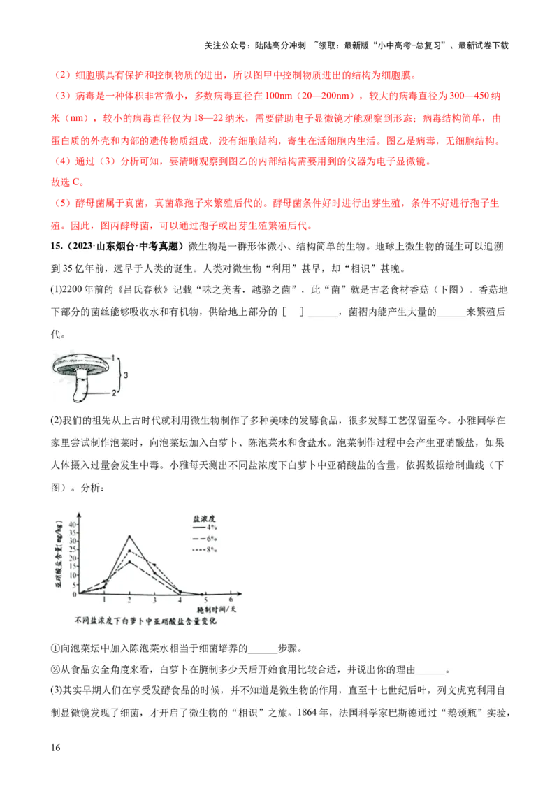 专题18细菌、真菌和病毒（练习）（解析版）_02中考总复习（2026版更新中）_08-生物-中考总复习_2024年中考复习资料_一轮复习_❤2024年中考生物一轮复习讲练测（全国通用）_练习