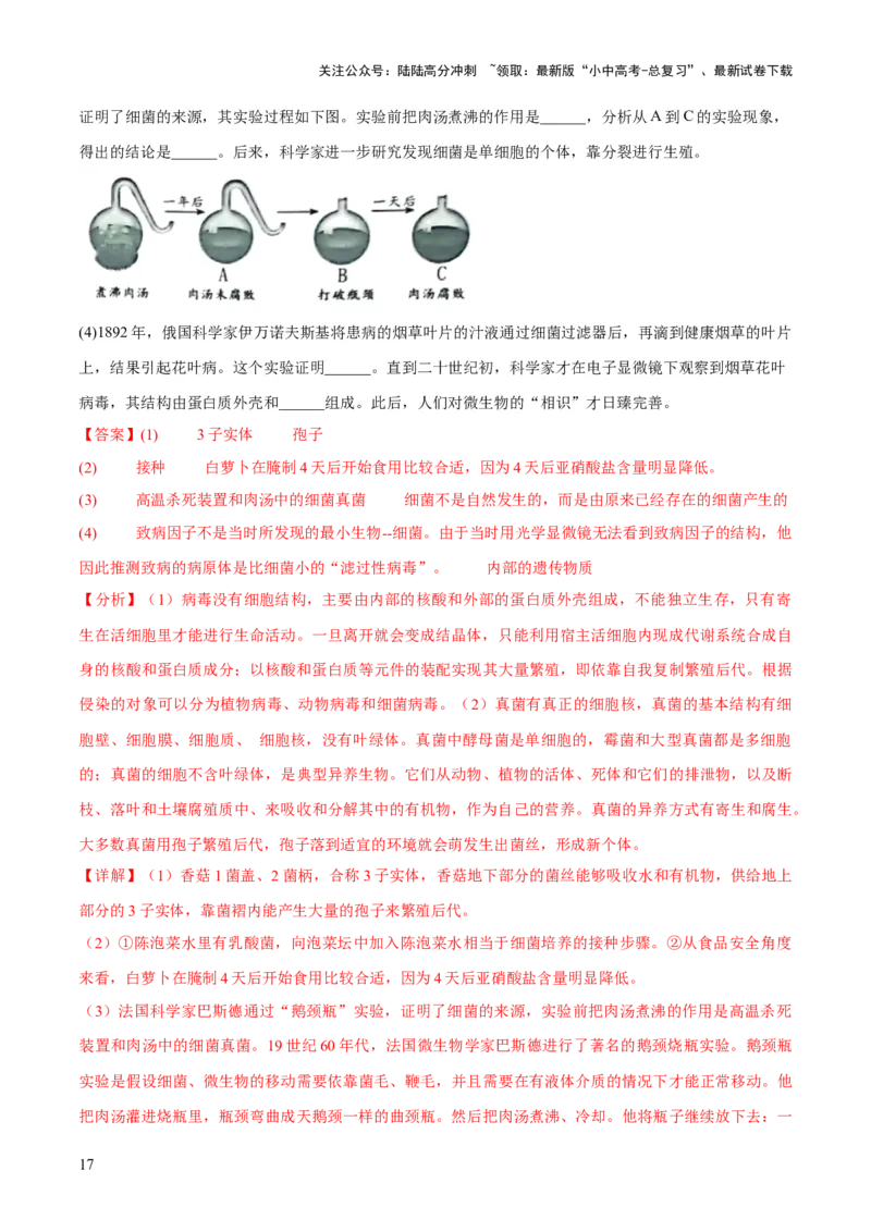 专题18细菌、真菌和病毒（练习）（解析版）_02中考总复习（2026版更新中）_08-生物-中考总复习_2024年中考复习资料_一轮复习_❤2024年中考生物一轮复习讲练测（全国通用）_练习