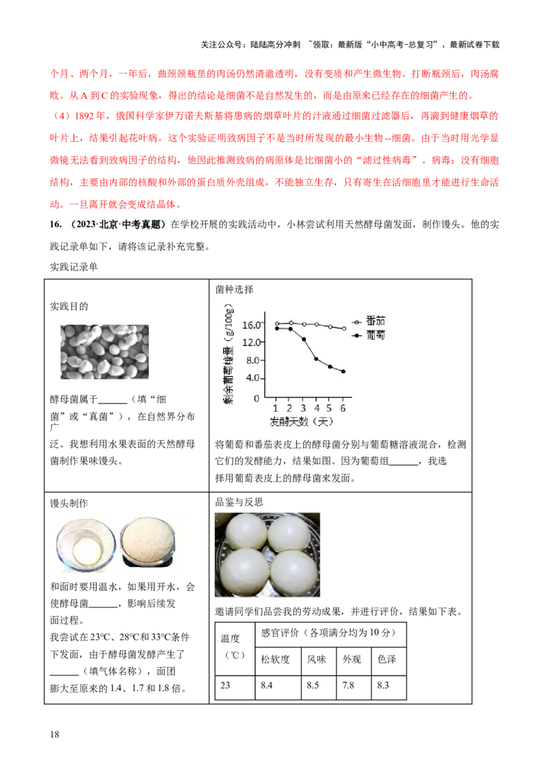 专题18细菌、真菌和病毒（练习）（解析版）_02中考总复习（2026版更新中）_08-生物-中考总复习_2024年中考复习资料_一轮复习_❤2024年中考生物一轮复习讲练测（全国通用）_练习