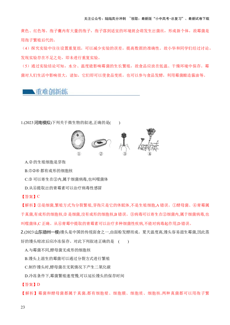 专题18细菌、真菌和病毒（练习）（解析版）_02中考总复习（2026版更新中）_08-生物-中考总复习_2024年中考复习资料_一轮复习_❤2024年中考生物一轮复习讲练测（全国通用）_练习